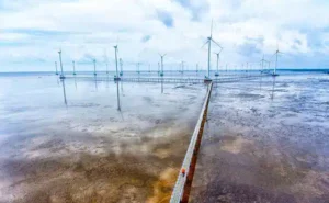 thuê xe carnival đi bạc liêu