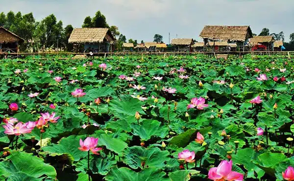 thuê xe carnival đi đồng tháp